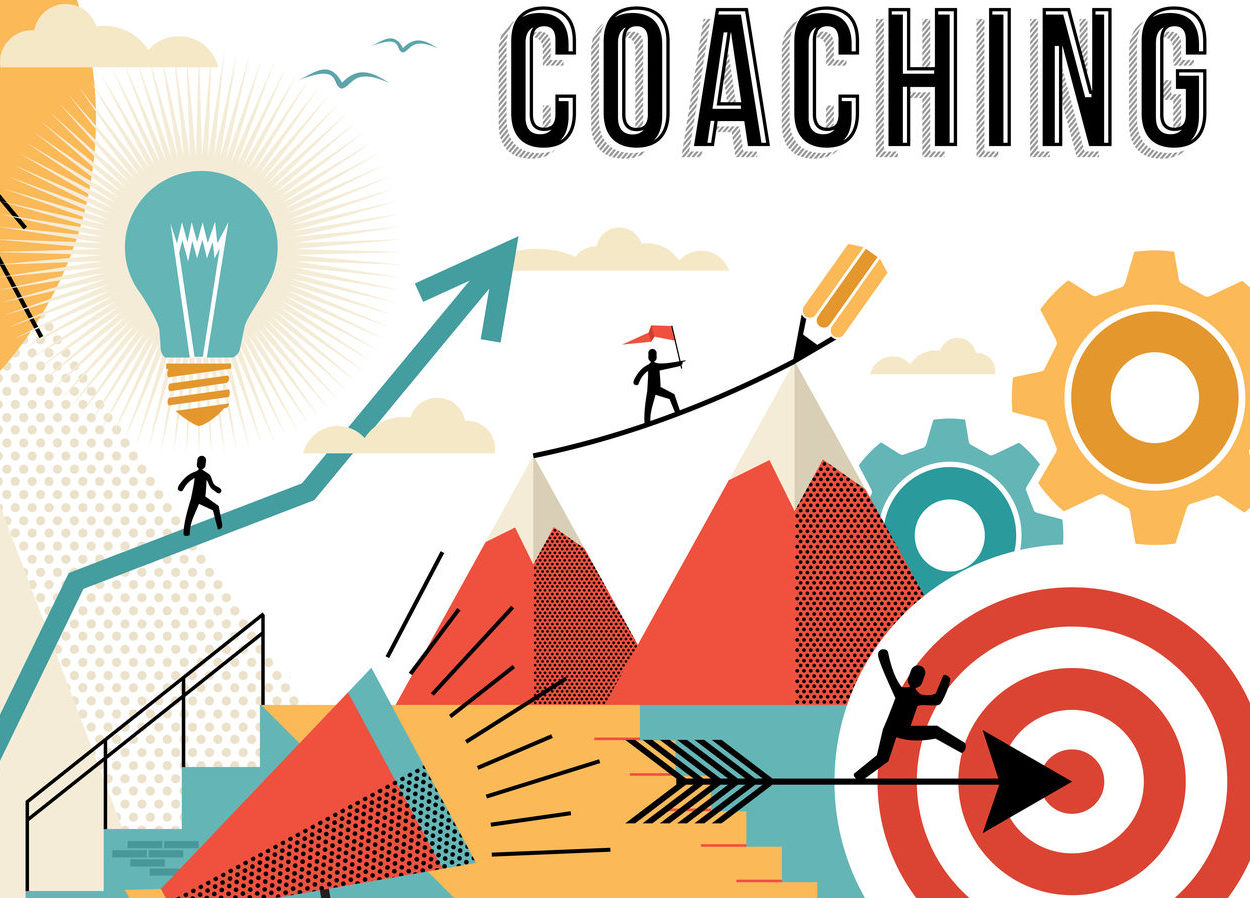 Accompagnement des organisations